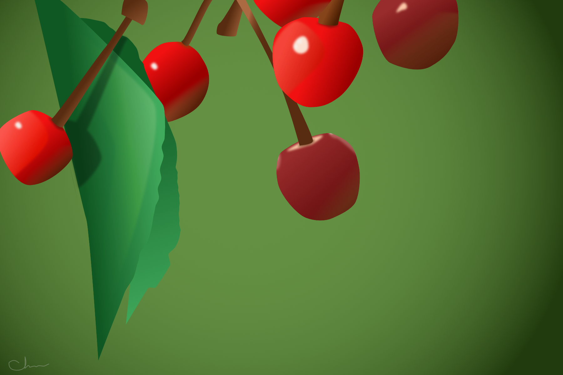 Sweet or Tart (Cherries on the Vine) — postcards