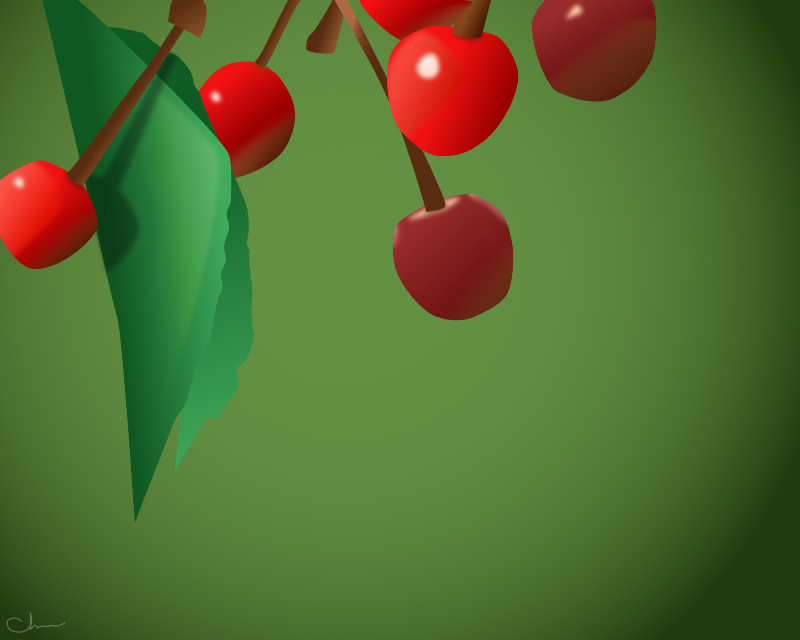 Sweet or Tart (Cherries on the Vine)